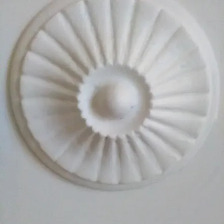 Alfea * Pisa