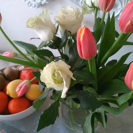 Frühstückspension Alfea